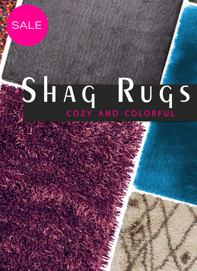 Contemporary Shag Area Rugs