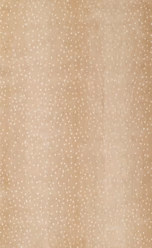 Momeni Woodland WOD-1 Beige Hand Tufted Wool Rug Product Image