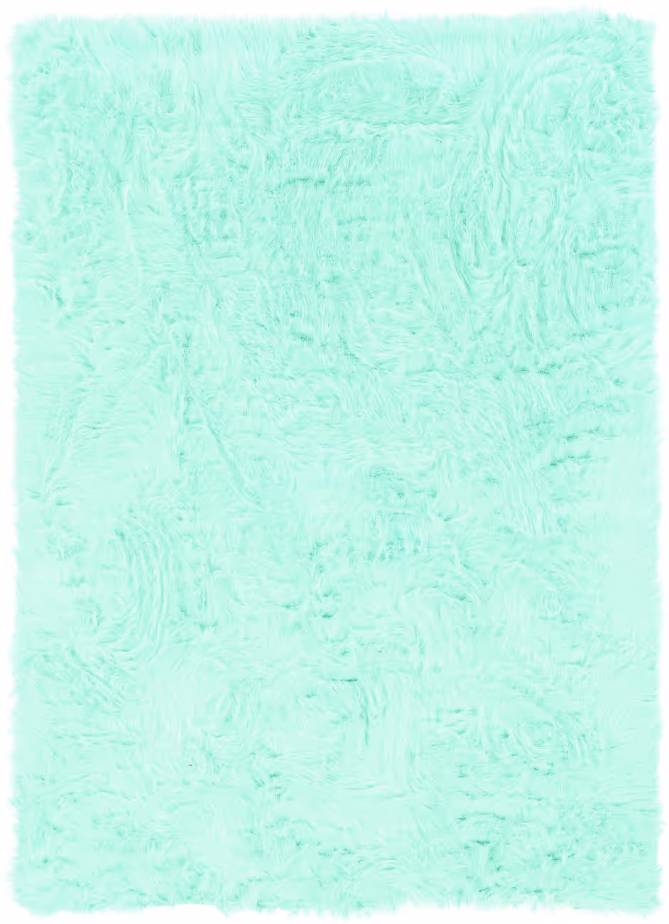 Linon Blue Rug 16