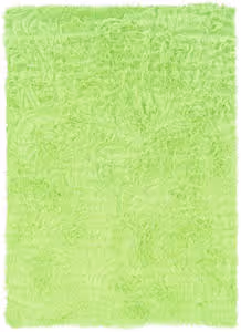 Linon Green Rug 4 Product Image