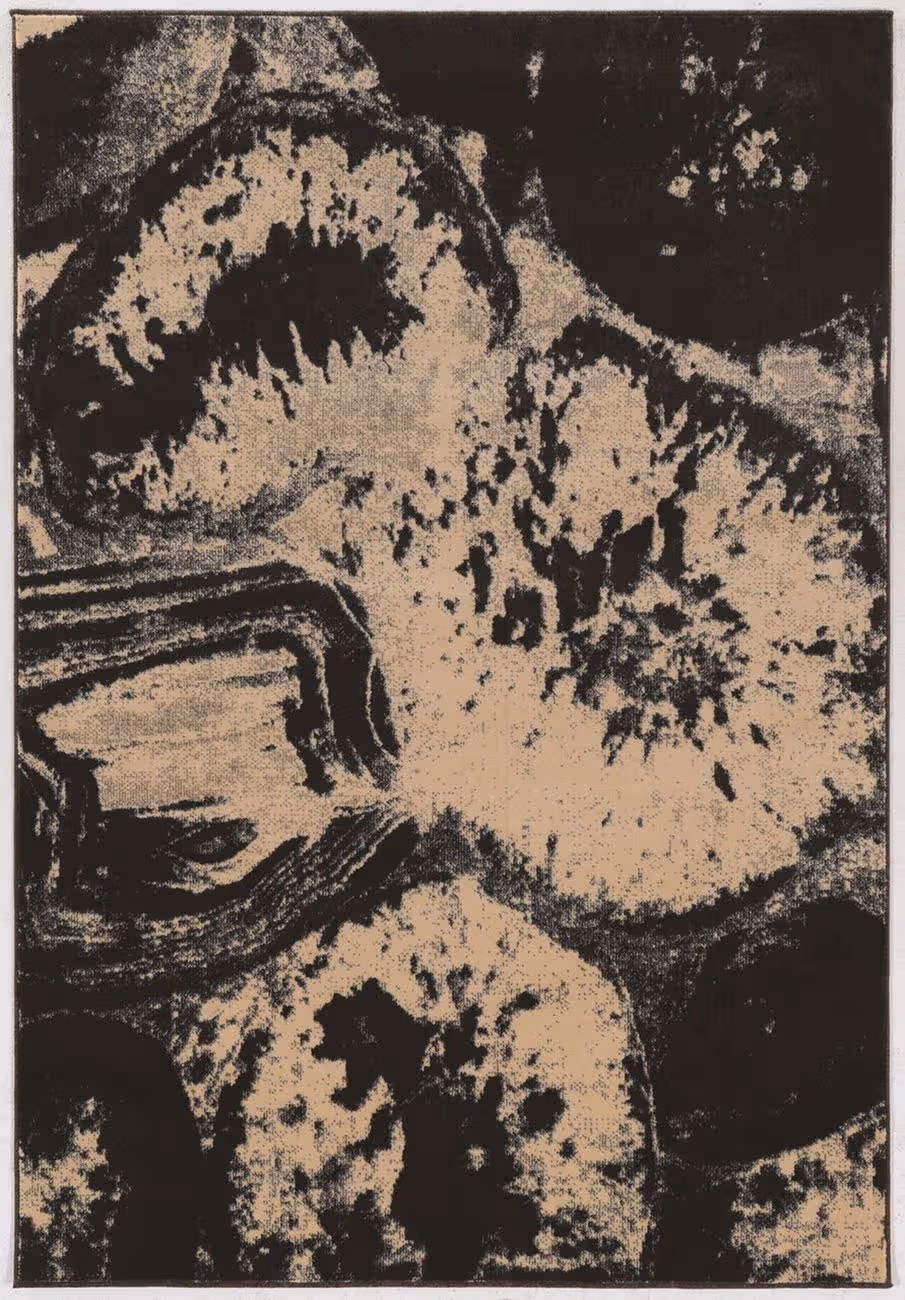 Linon Black Rug 8