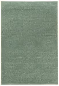 Linon Green Rug 10 Product Image