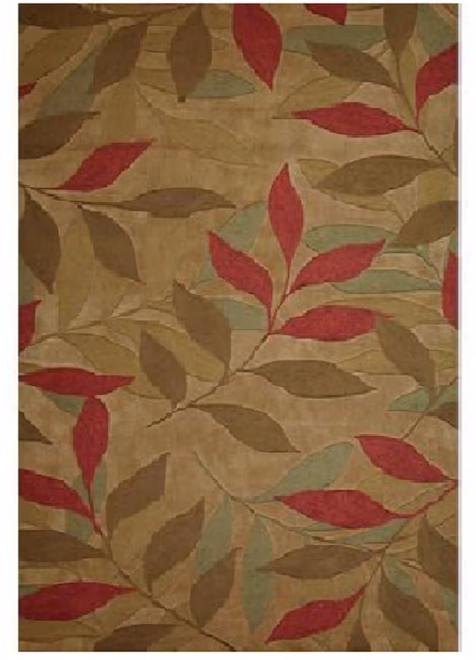 Linon Brown Transitional Rug 3