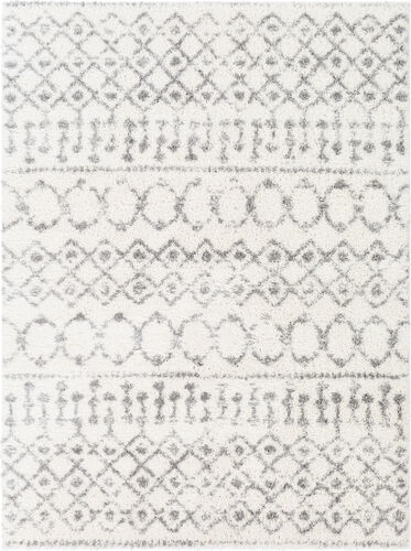 Modern Loom Aarbe AAE-2302 Gray Power Loomed Synthetic Rug Product Image