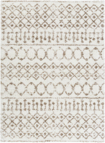 Modern Loom Aarbe AAE-2303 Beige Power Loomed Synthetic Rug Product Image