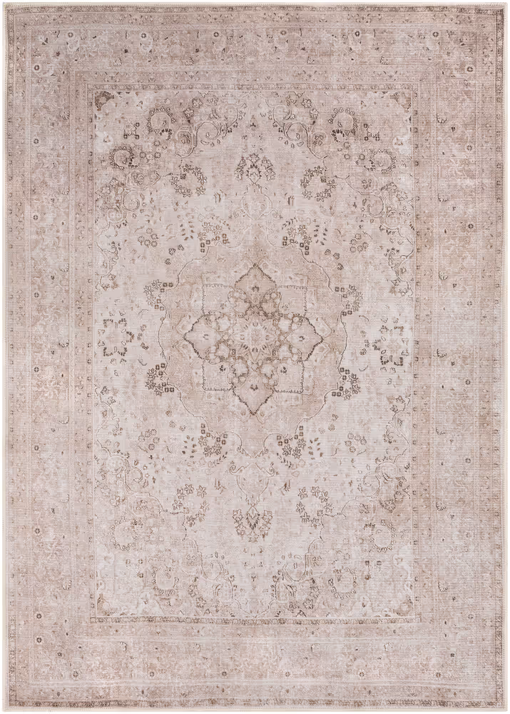 Surya Amelie AML-2303 Beige Transitional Traditional Rug