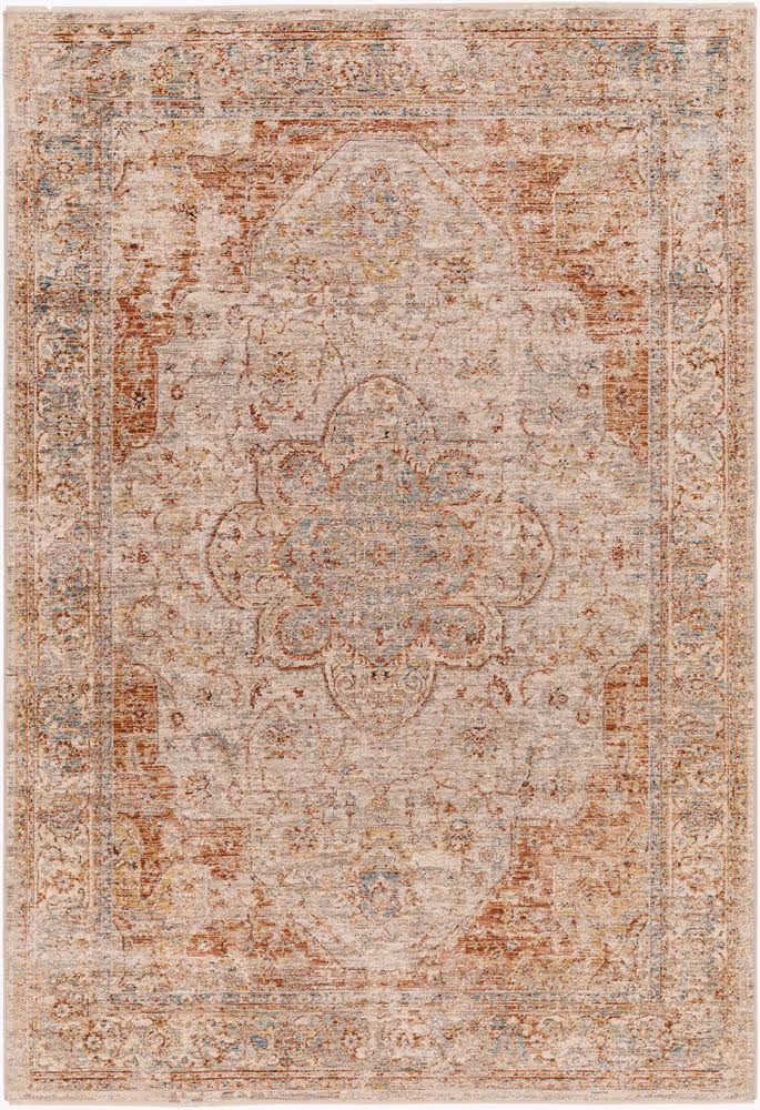 Surya Aspendos APS-2305 gray Rug Product Image