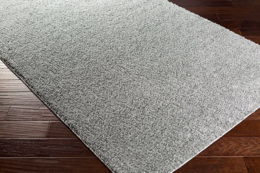 Surya Arlie ARE-9000 gray Rug Product Image