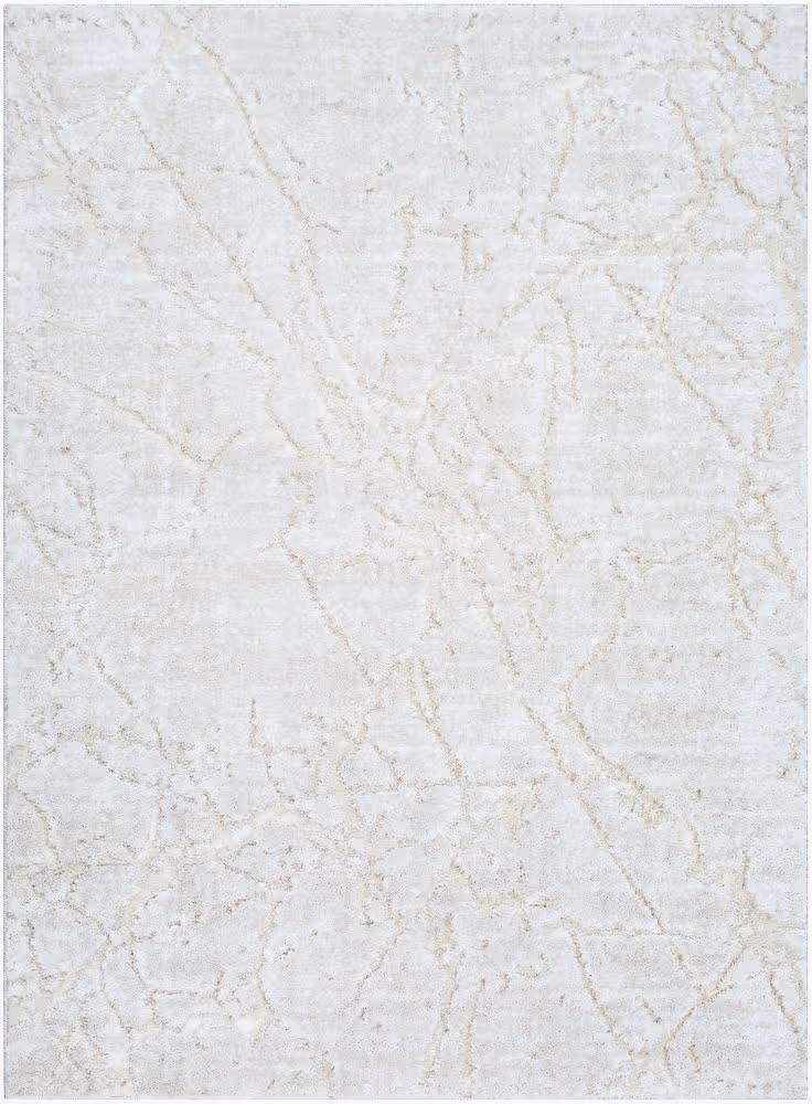 Surya Andorra Plus ARP-2312 gray Rug
