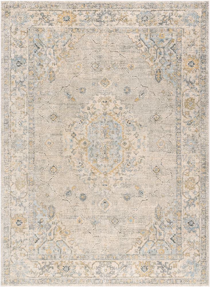 Surya Avellino AVL-2316 gray Rug Product Image