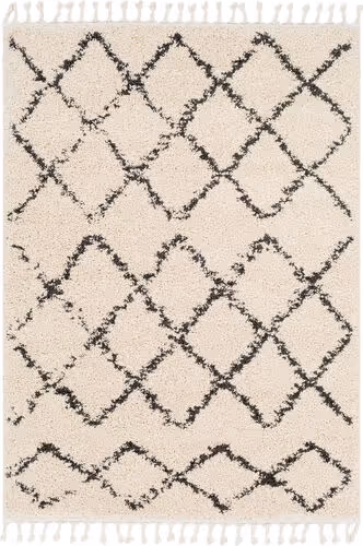 Surya Berber Shag BBE-2300 Charcoal Patterned Synthetic Rug Product Image