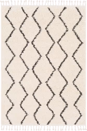 Surya Berber Shag BBE-2303 Charcoal Abstract Patterned Rug Product Image