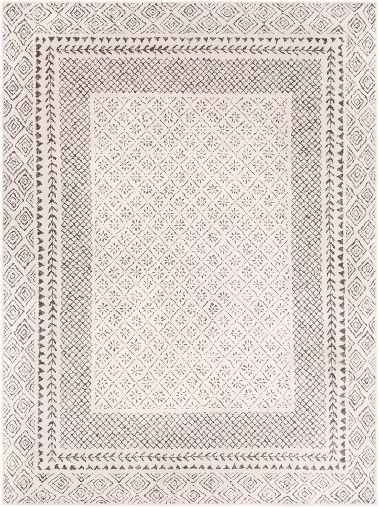 Surya Aceri ACI-2321 Medium Gray Transitional Bordered Rug