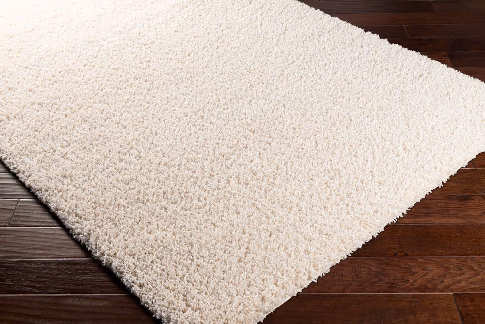 Surya Bliss Shag BLI-2315 beige Rug