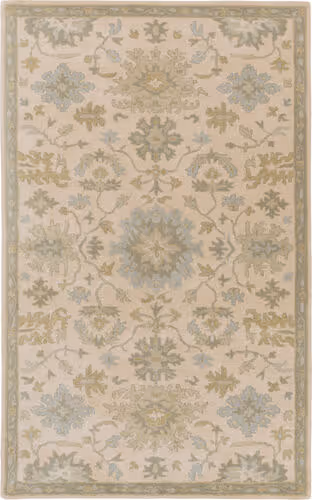 Surya Caesar CAE-1161 Beige Wool Traditional Rug Product Image