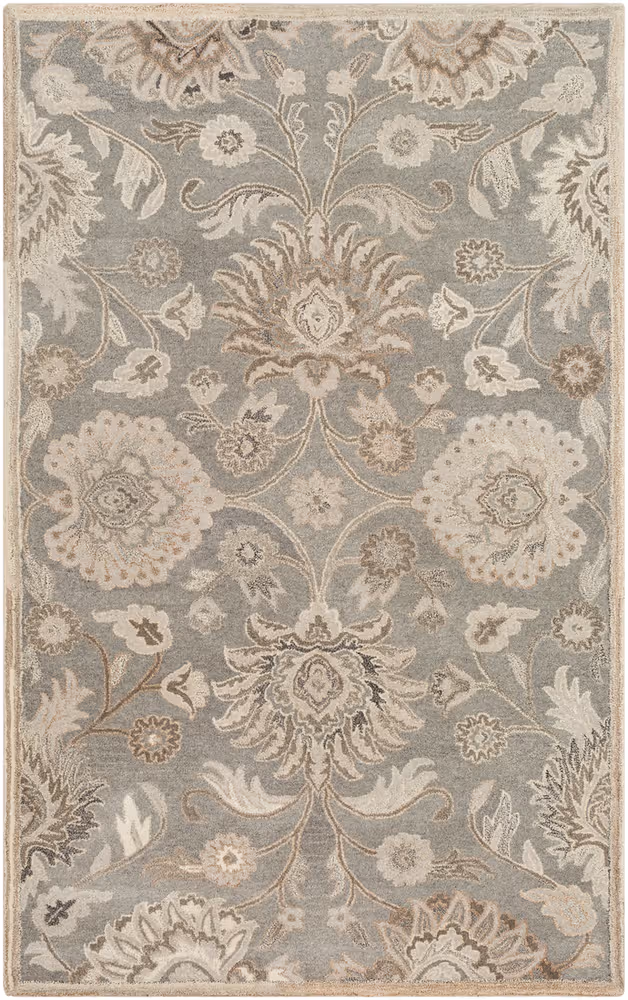 Surya Caesar CAE-1195 Taupe Patterned Traditional Rug