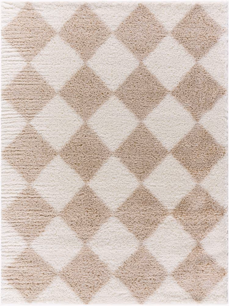Surya Cloudy Shag CDG-2338 beige Rug