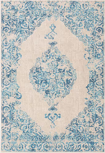 Surya City CIT-2385 Aqua Traditional Transitional Rug Product Image