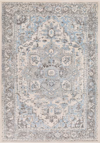 Surya Chelsea CSA-2318 Pale Blue Transitional Bordered Rug Product Image
