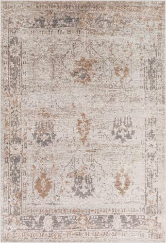 Surya Chelsea CSA-2323 Medium Gray Traditional Bordered Rug Product Image