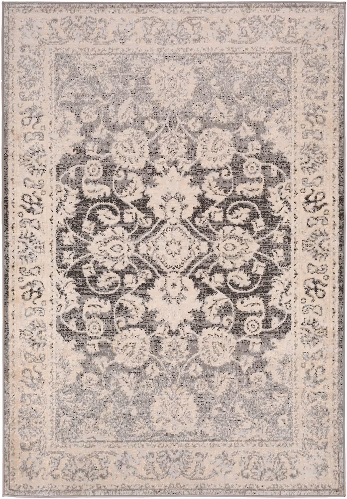 Surya Adria ADI-2308 Charcoal Transitional Bordered Rug