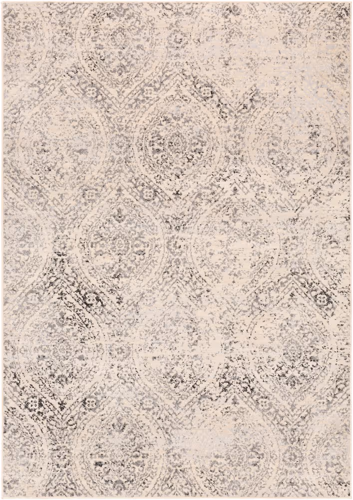 Surya Adria ADI-2318 Charcoal Transitional Patterned Rug