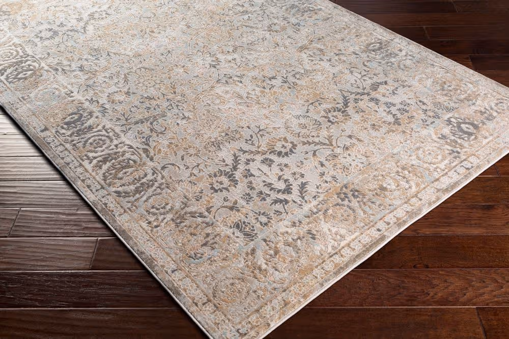Surya Dryden DDN-2310 beige Rug Product Image