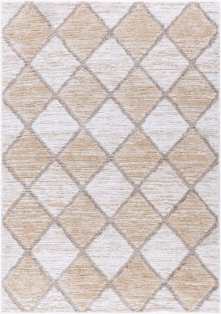 Surya Delight Shag DEL-2306 beige Rug Product Image
