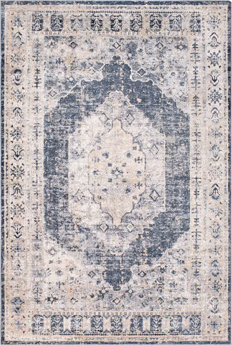 Surya Durham DUR-1015 Taupe Transitional Traditional Rug Product Image