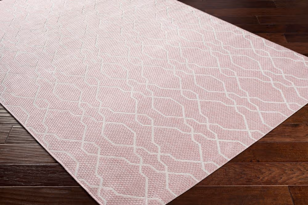 Surya Eagean EAG-2386 pink Rug Product Image