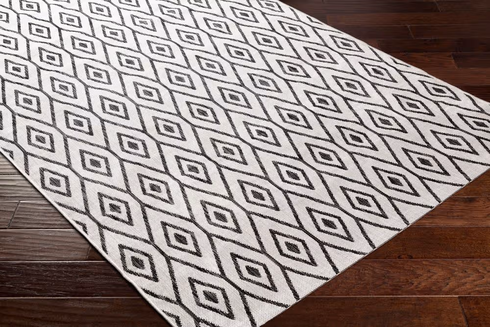 Surya Eagean EAG-2393 black Rug