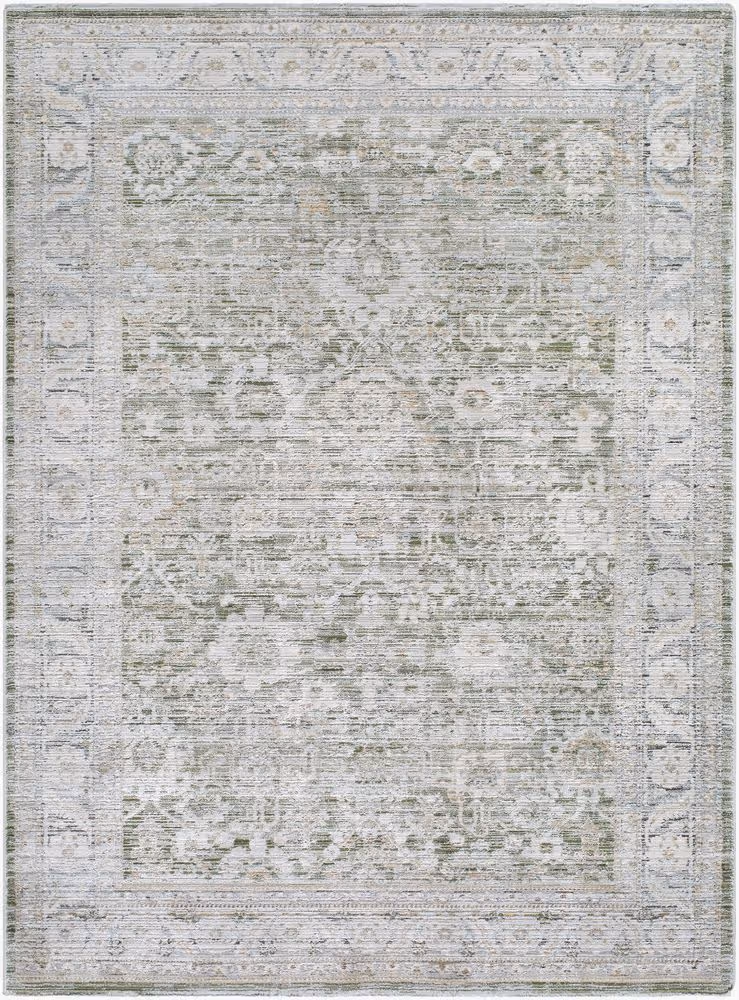 Surya Edmonton EDO-2311 gray Rug Product Image