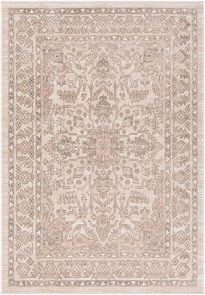 Surya Rafetus ETS-2337 Charcoal Traditional Bordered Rug