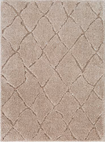 Modern Loom Alaraz ALZ-2300 Beige Hand Woven Synthetic Rug Product Image