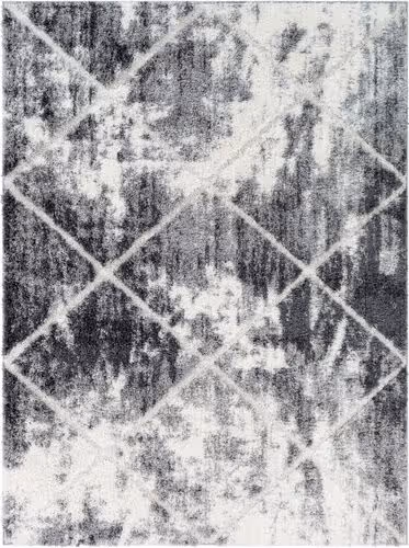 Modern Loom Alaraz ALZ-2319 Gray Hand Woven Synthetic Rug Product Image