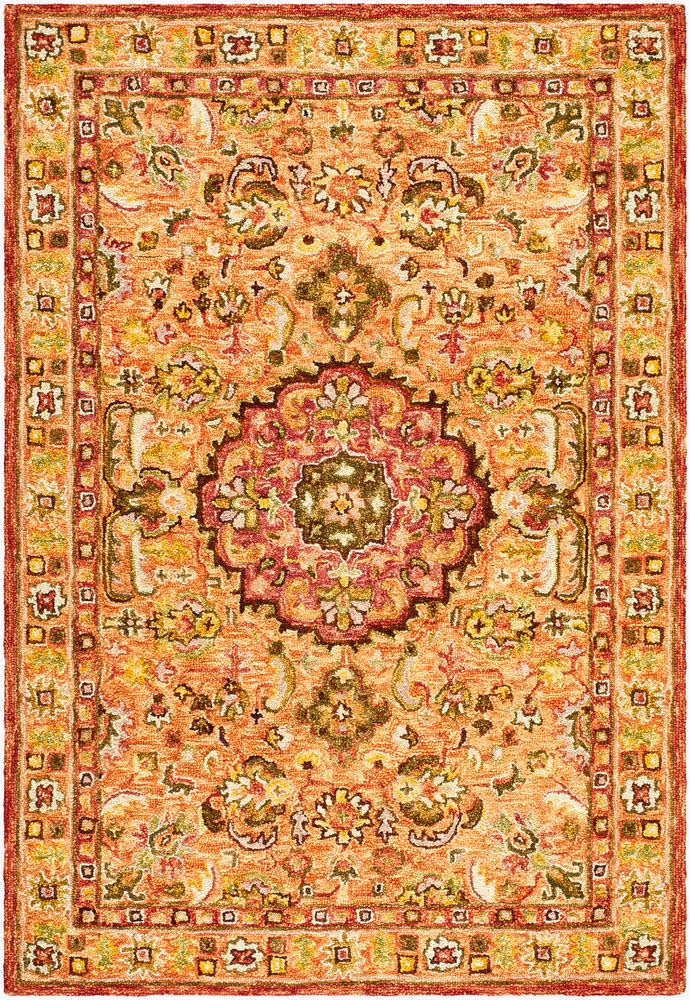 Surya Fairfax FFX-2307 orange Rug Product Image