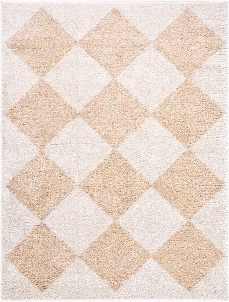 Surya Fossay Shag FSG-2324 beige Rug