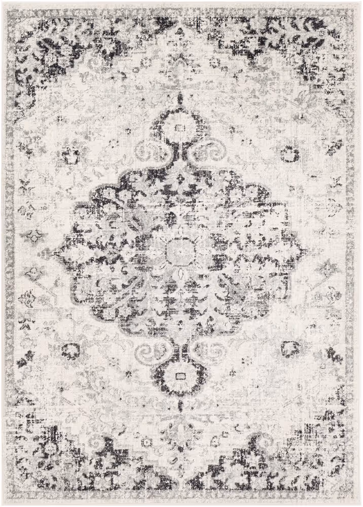 Surya Alchir ALR-1061 Beige Traditional Transitional Rug