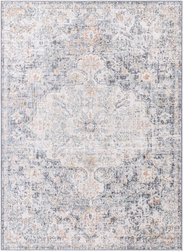 Surya Harput HAP-1164 beige Rug