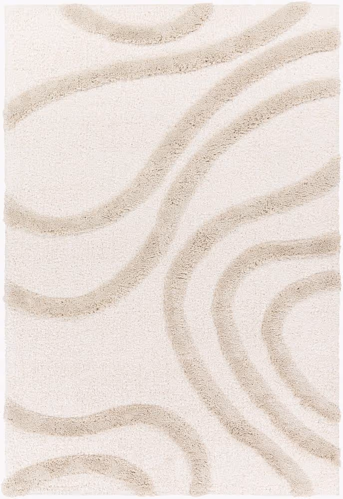 Surya Hudson Shag HDS-2310 beige Rug