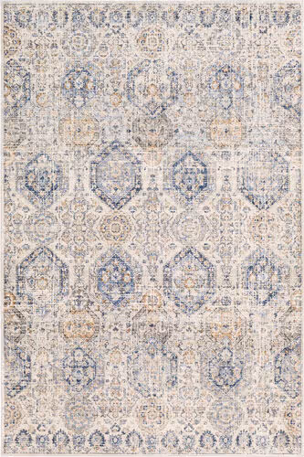 Surya Alchird ALD-2308 Blue Traditional Transitional Rug Product Image