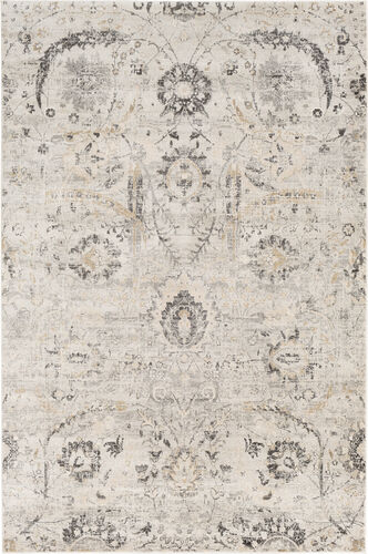 Alchird ALD-2318 Gray Traditional Transitional Rug Product Image