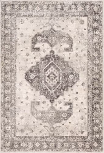 Surya Alchird ALD-2322 Gray Synthetic Bordered Rug Product Image