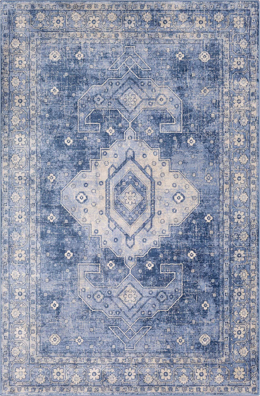 Surya Alchird ALD-2323 Blue Bordered Synthetic Rug