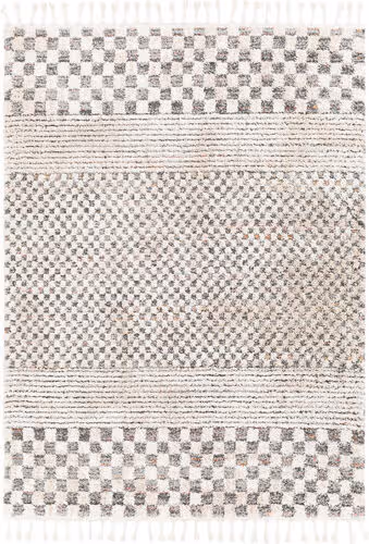 Modern Loom Lyon LYN-2307 Beige Power Loomed Synthetic Rug Product Image