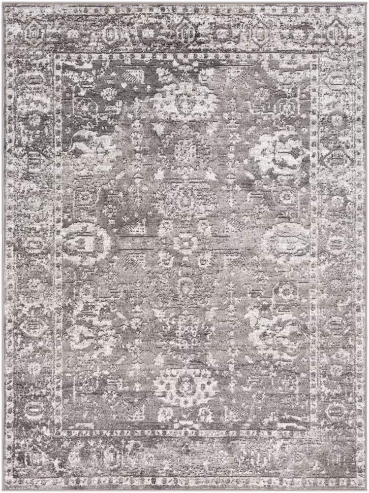 Surya Monte Carlo MNC-2311 Light Gray Transitional Bordered Rug
