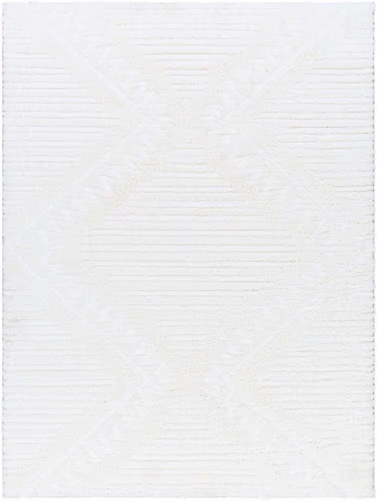 Surya Nomadic NMC-2304 beige Rug