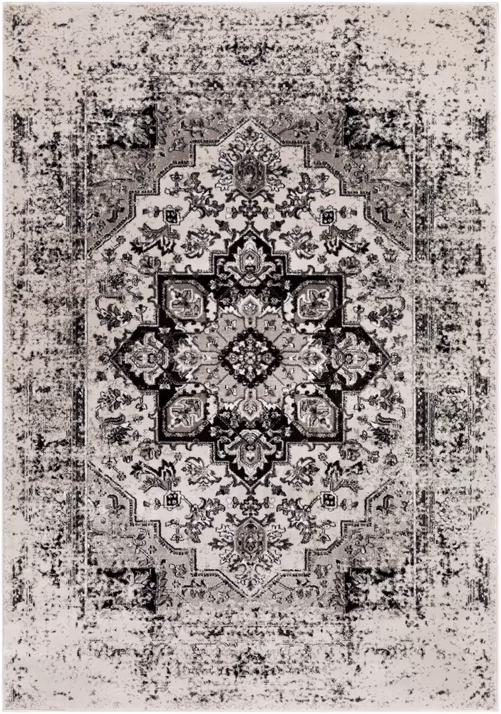 Surya Nova NVA-3042 Black Transitional Traditional Rug