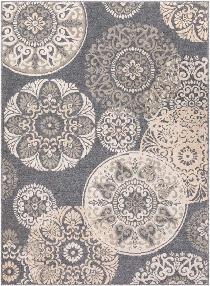 Surya Oslo OSL-2314 Charcoal Patterned Transitional Rug
