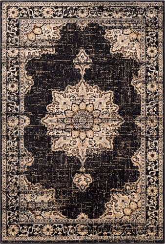 Surya Allbush ALLB-1089 Black Transitional Synthetic Rug Product Image